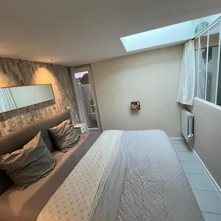 Maisonnette Plain-pied Avec Son Exterieur *